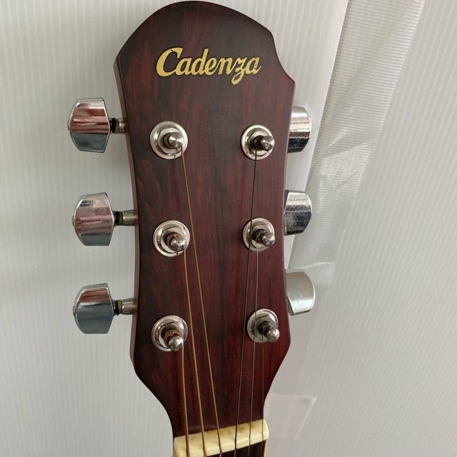 Cadenza アコースティックギター（セ堀5) Cadenza エレキ