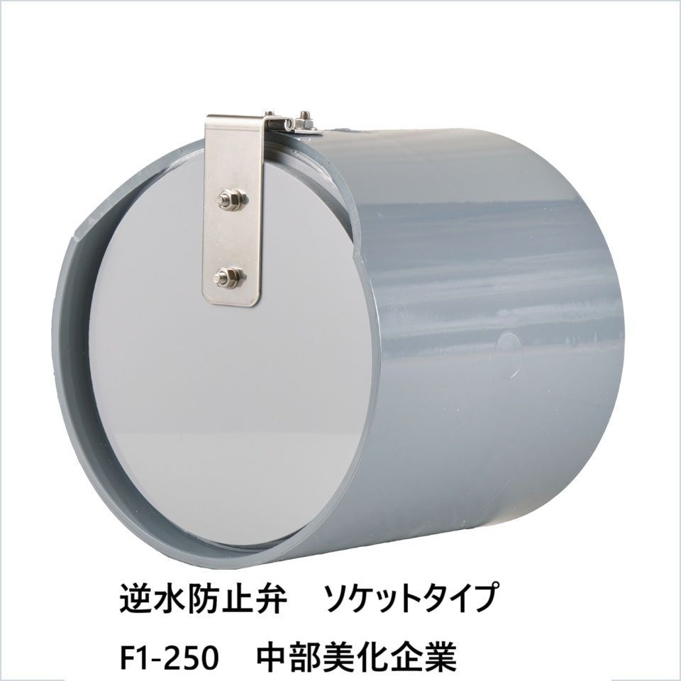 逆水防止弁 ソケットタイプ F1-250 中部美化企業