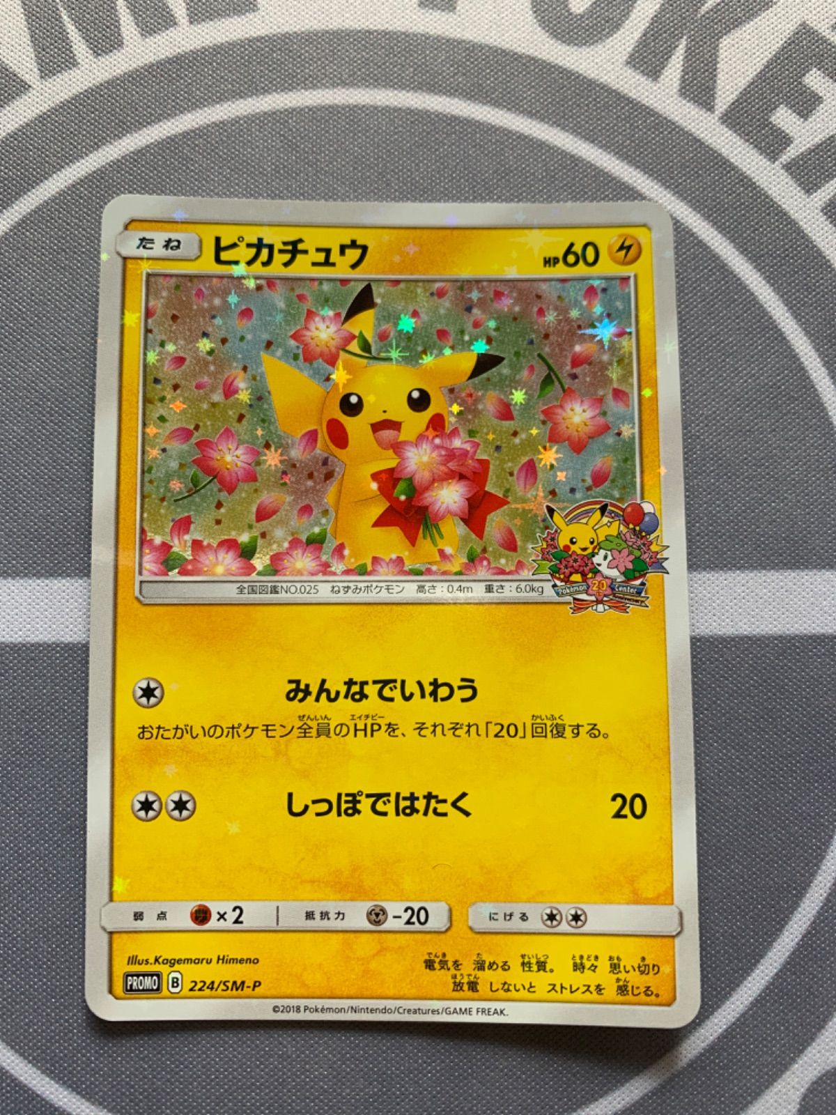 有名人芸能人 新品 未使用 ピカチュウ プロモ 224 Sm P ポケモンカード ポケモンカードゲーム Lavacanegra Com Mx Lavacanegra Com Mx