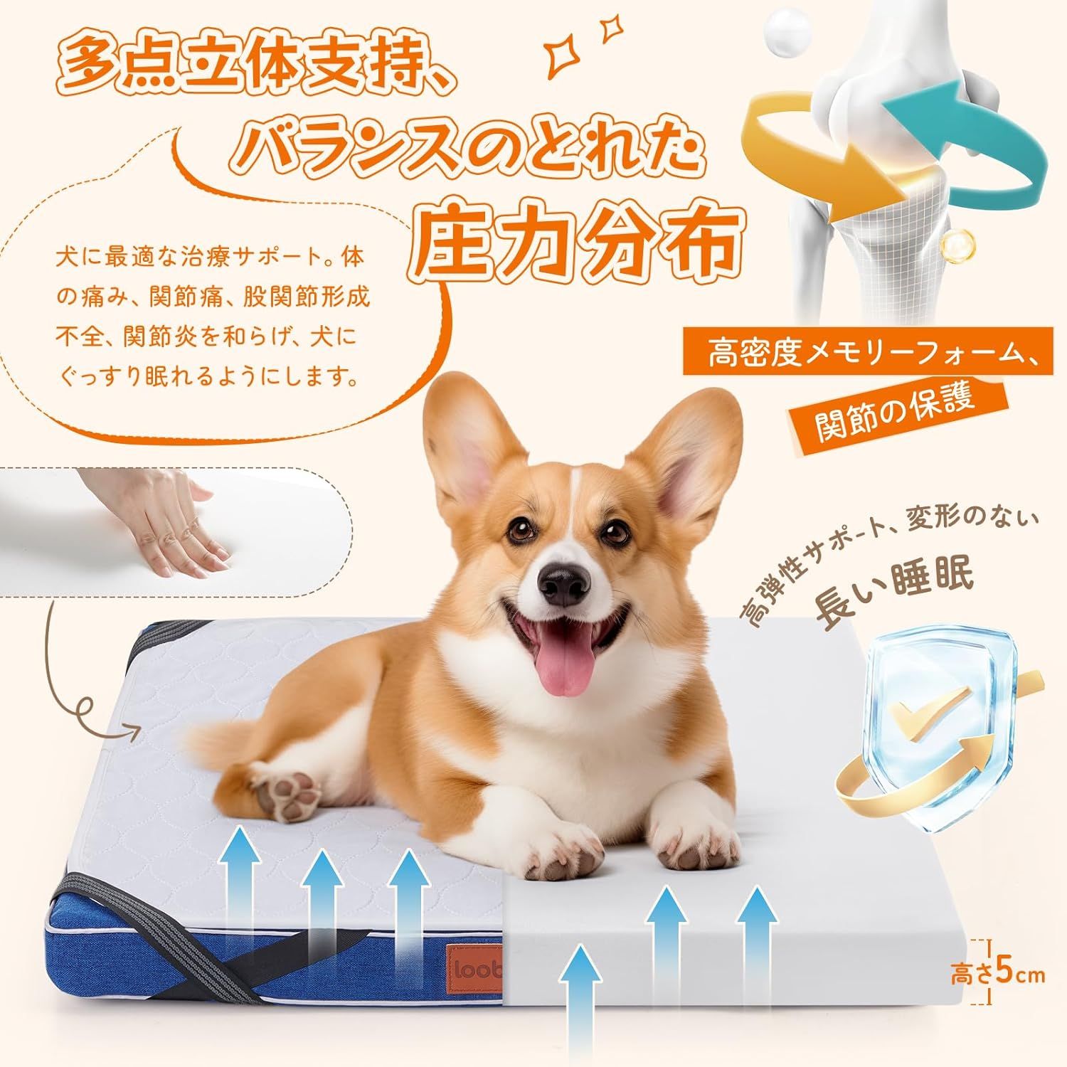 犬