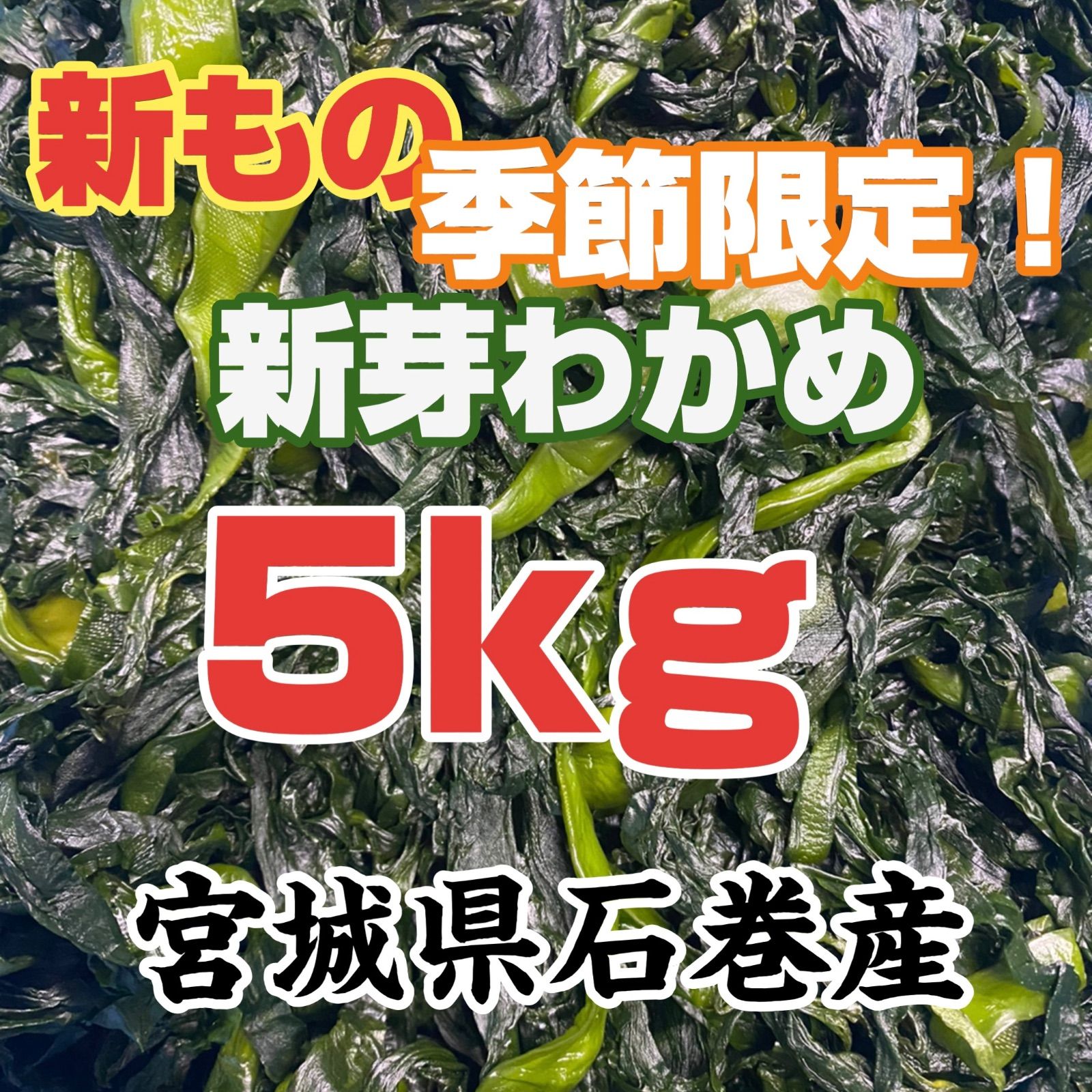 新芽わかめ　宮城県石巻産　新もの