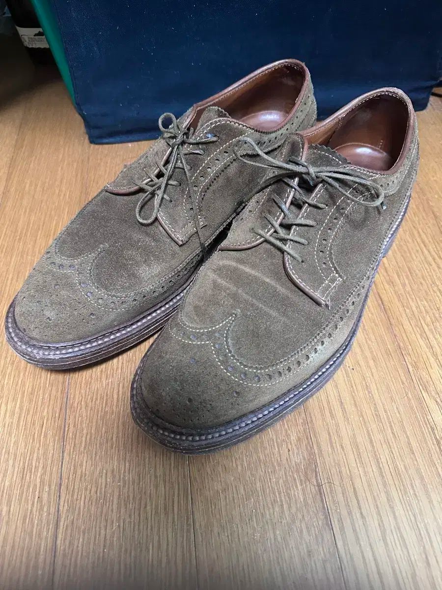 ALDEN(オールデン) スエード ウイングチップ 9794 8 5d 265 柔らかな