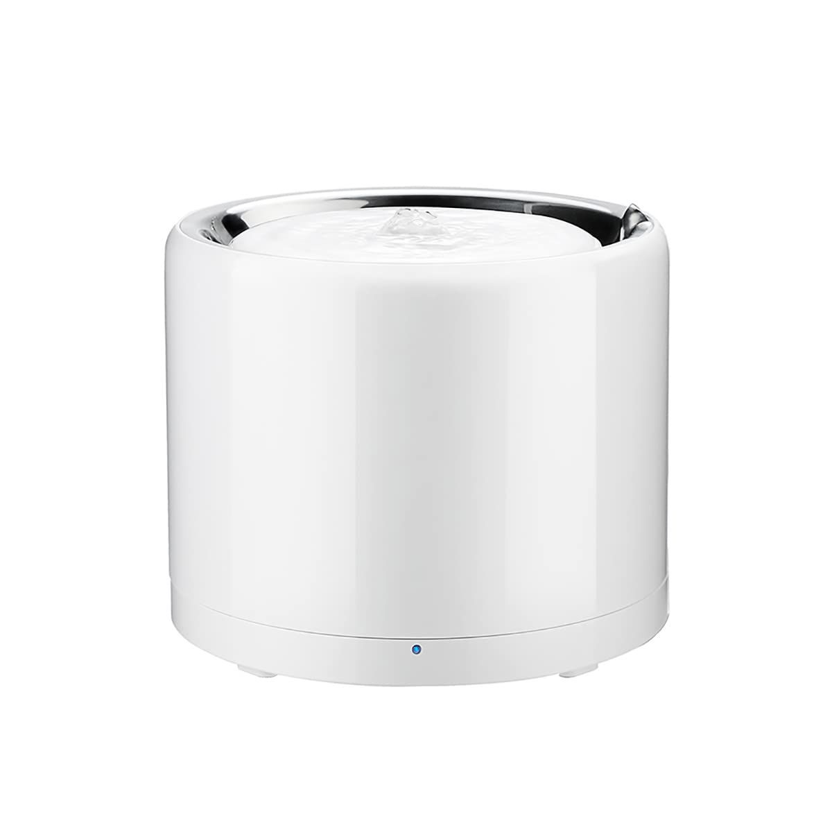 セレナイト猫のお皿No.1681 R 猫型 皿