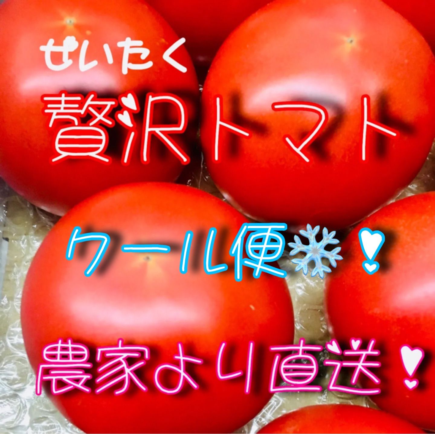 贅沢トマト🍅(ぜいたくとまと)農家👩‍🌾直送！クールメルカリ便❄60