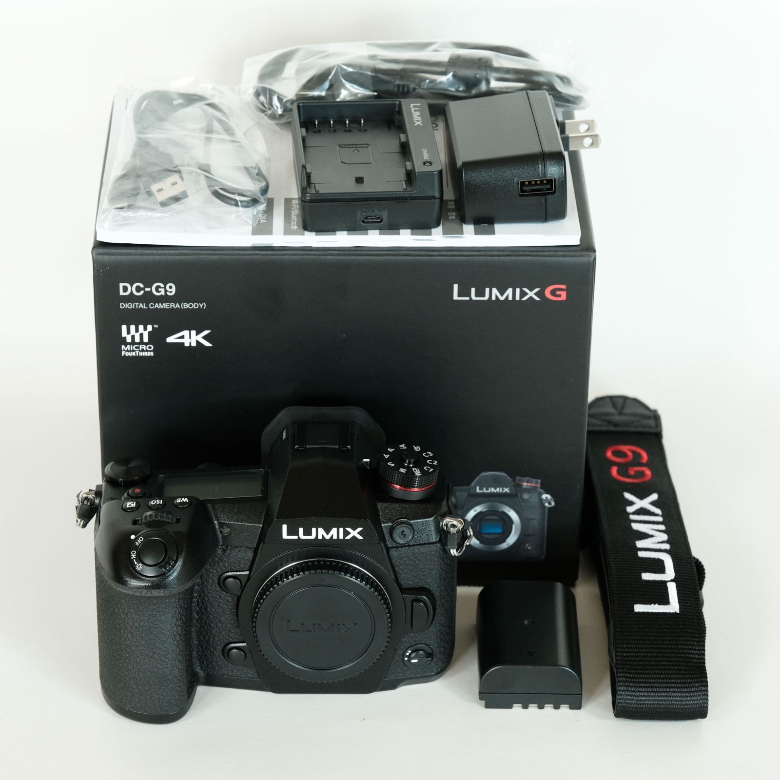 美品｜シャッター数161回] Panasonic LUMIX DC-G9 PRO / ミラーレス