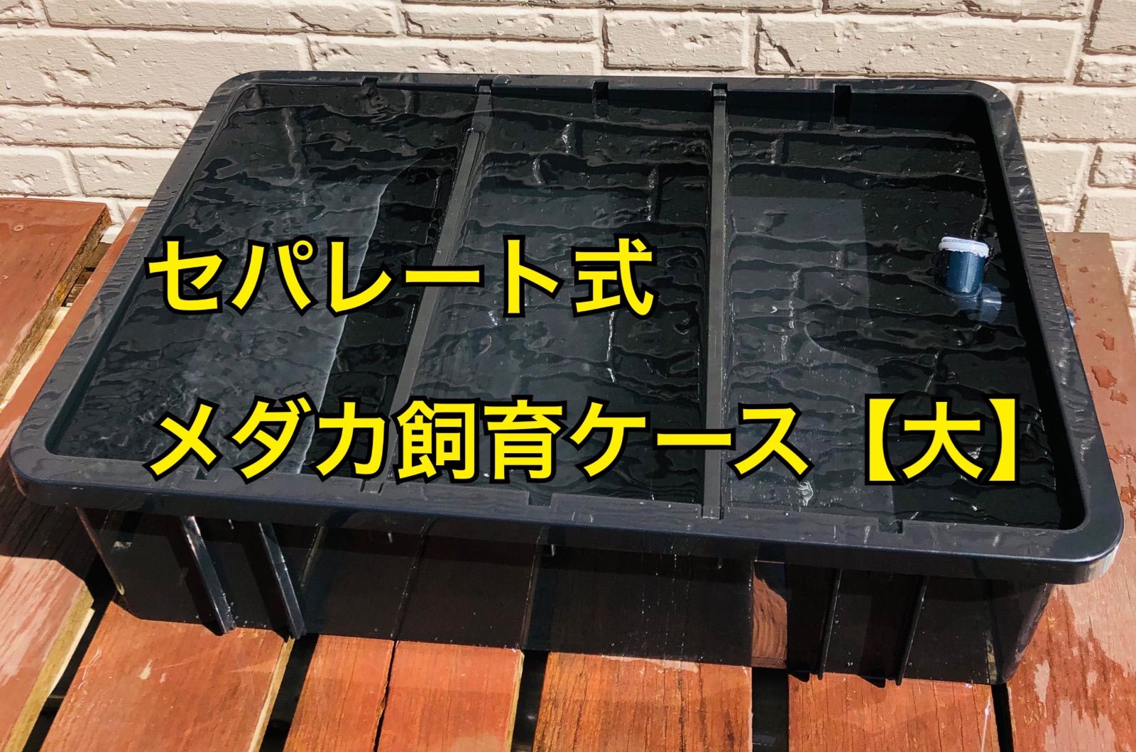 【Akiさま専用3個セット】メダカ飼育ケース セパレート めだか飼育ケース セパレート【大】 - メルカリ