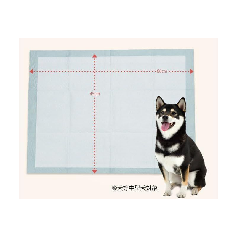 600枚 1
