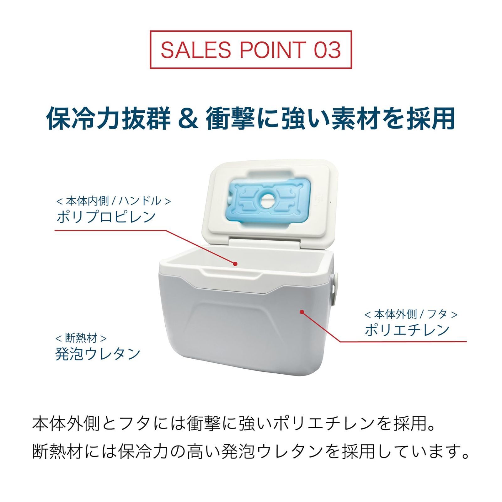 新品 RAMASU(ラマス) 保冷剤付きクーラーボックス4.8L