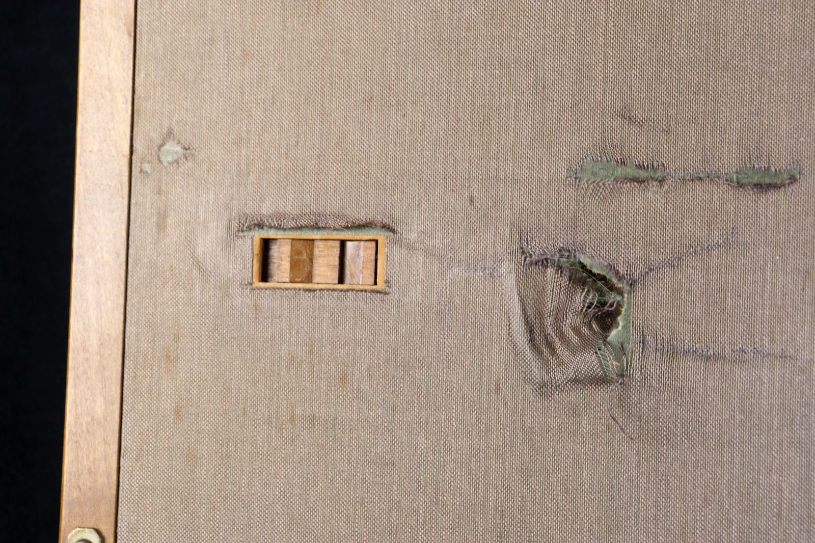 竹内栖鳳 「青鯛」 肉筆日本画25号 共シール 魚 静物画 唐物