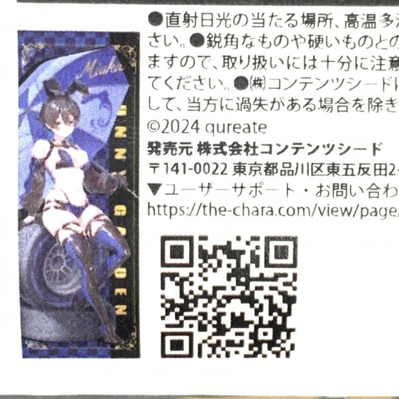 中古】バニーガーデン 特大タペストリー 美羽香 レースクイーンver.[91 