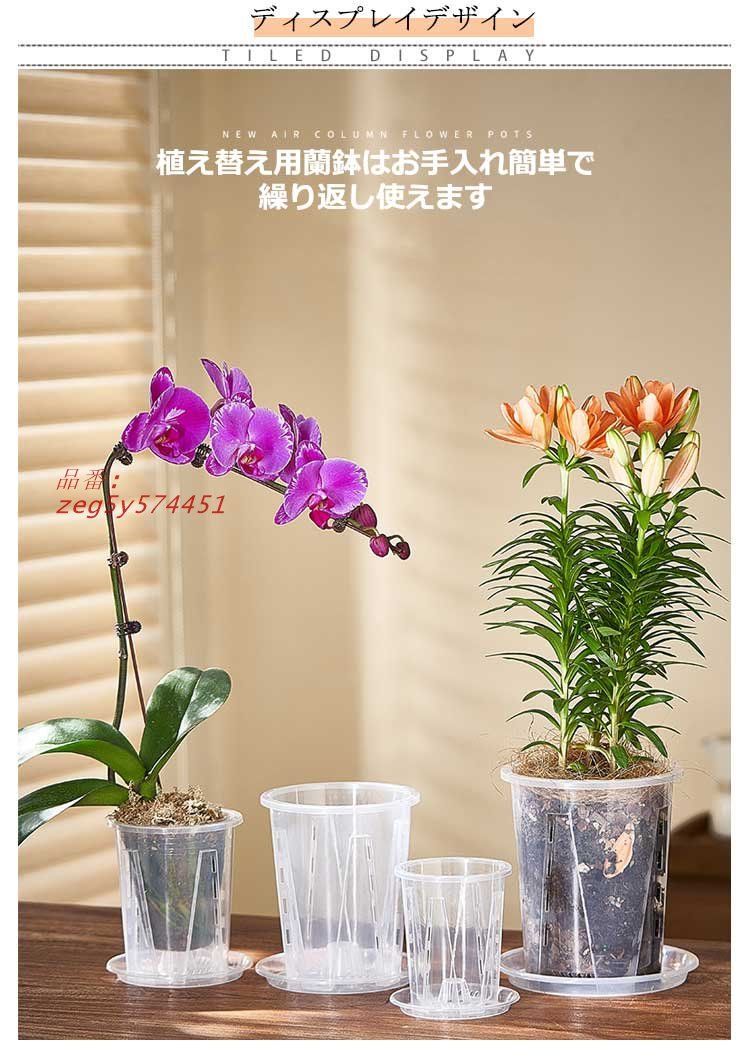龍蘭鉢 富貴蘭錦鉢 白銅龍図 | 東洋蘭専門店 京都蘭センター