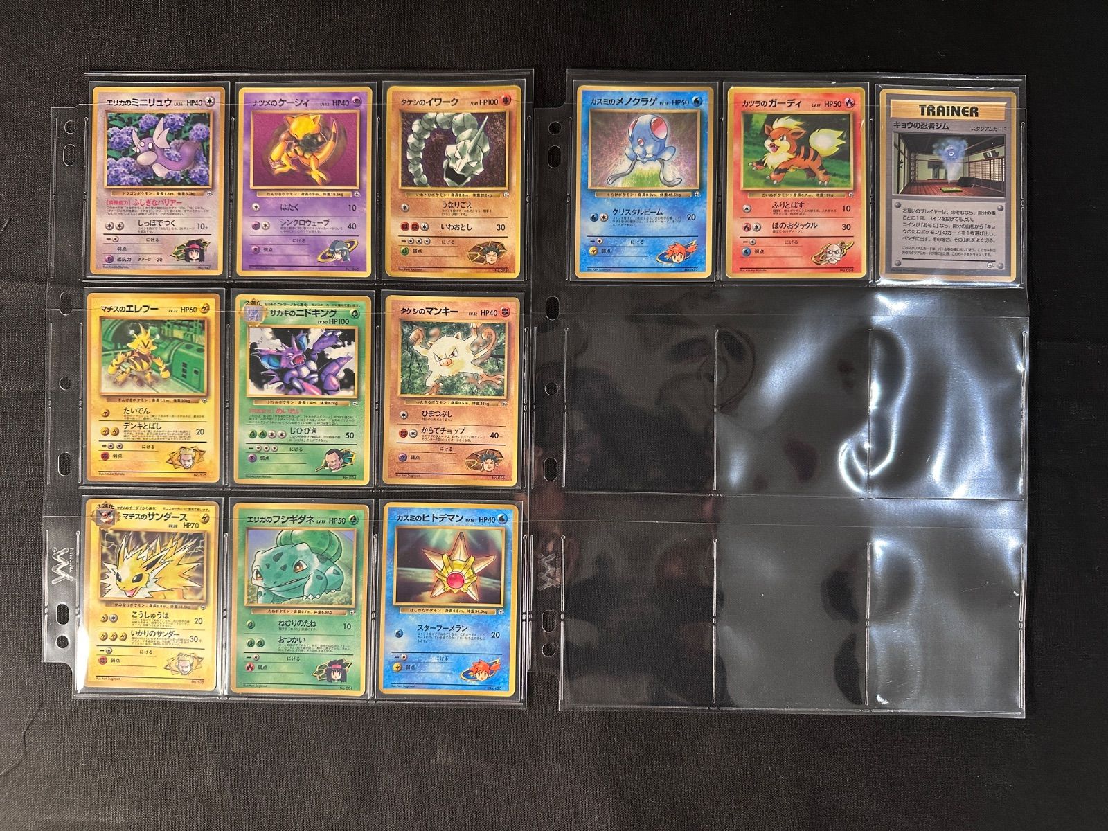 旧裏 コロコロコミック付録・プロモ ジムマークのみ 全12枚セット ポケモンカード