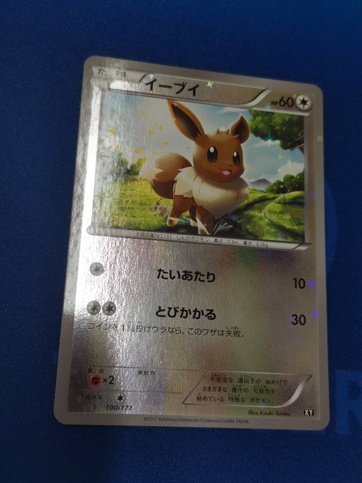 PSA10】イーブイ ミラー 100/171 XY - ポケモンカードゲーム