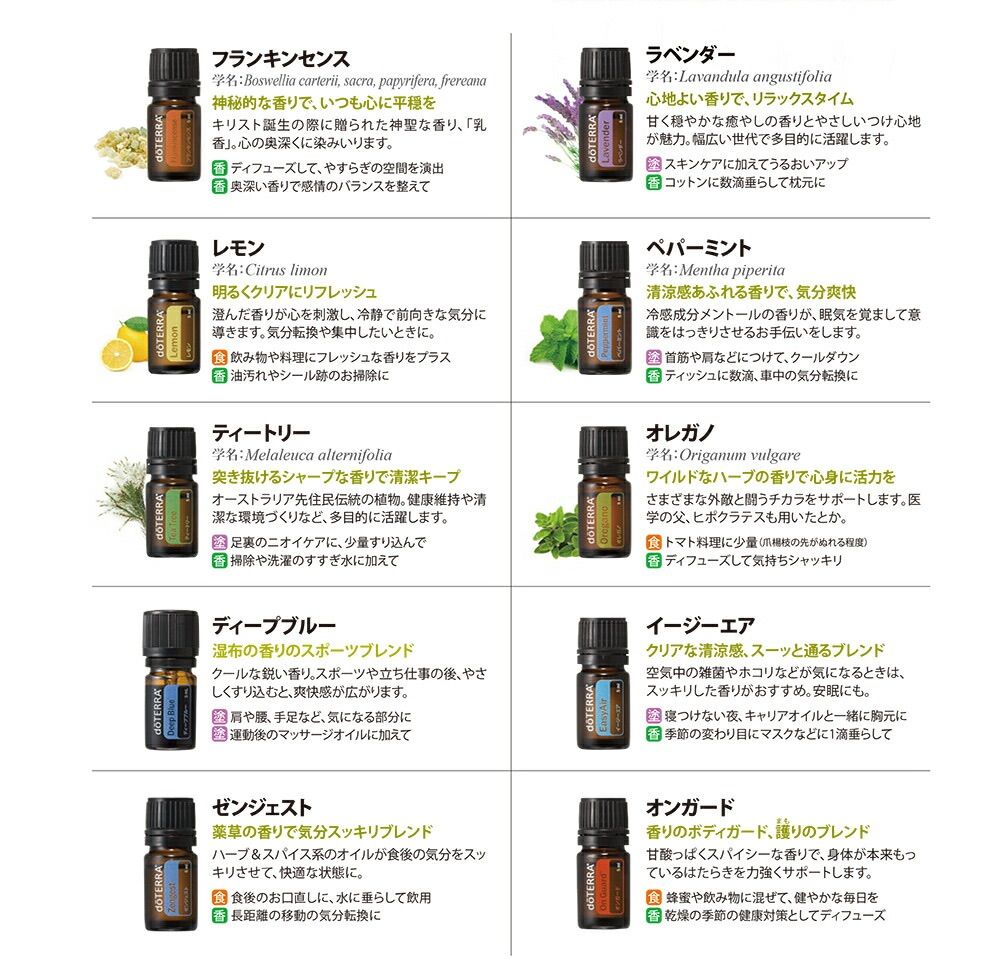 新品未開封】ドテラ ファミリー エッセンシャルズキット doTERRA 