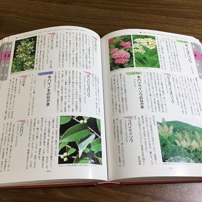 花歳時記大百科 花歳時記大百科 北隆館 - メルカリ
