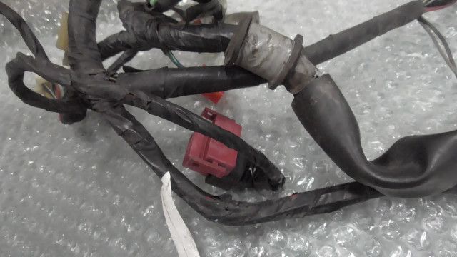 メインハーネス