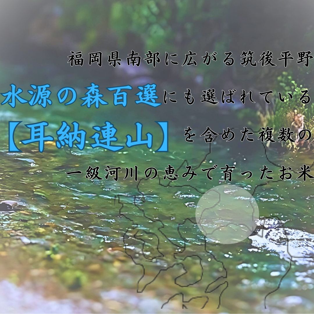 元気つくし