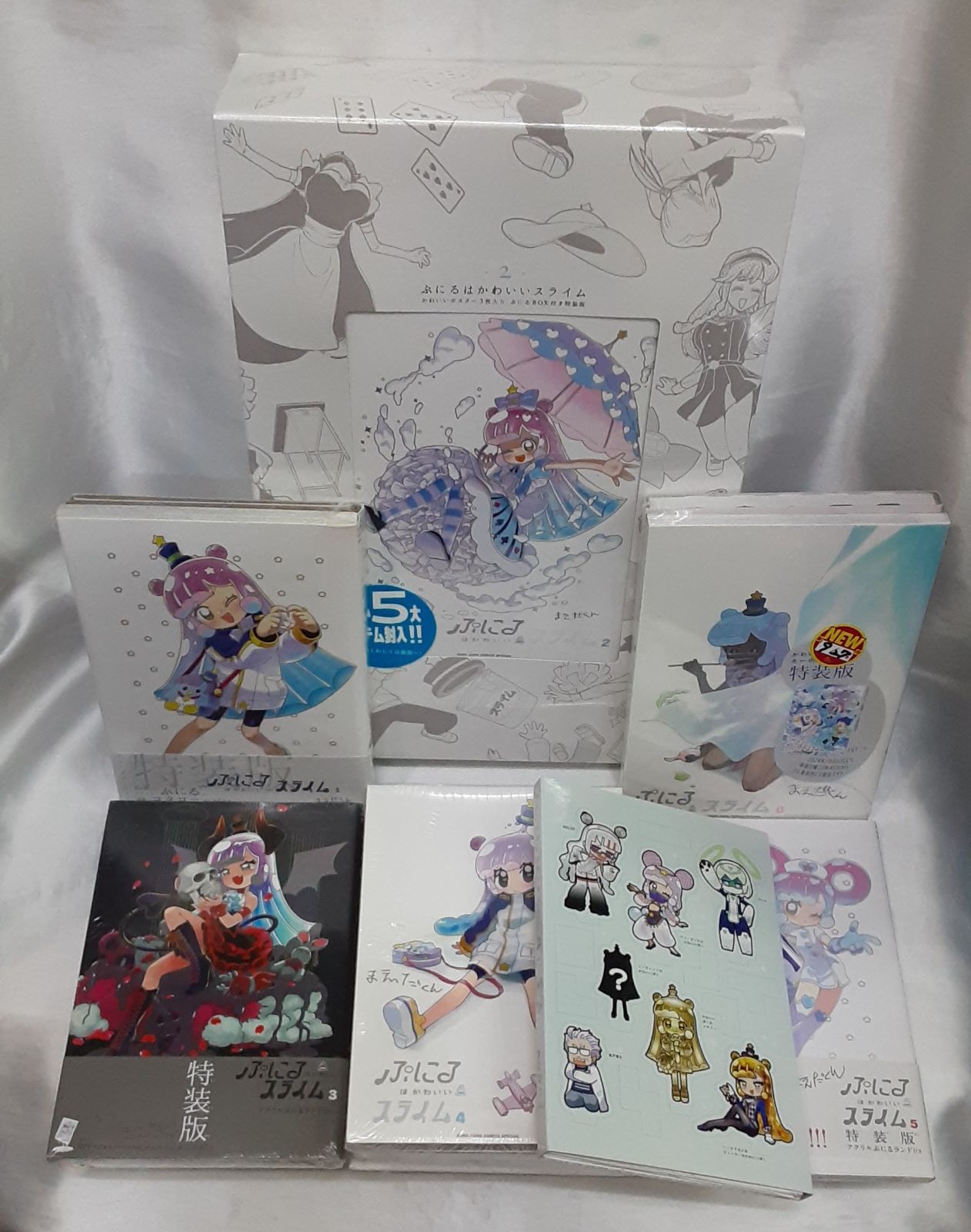 意釈類経 第五冊 小曽戸丈夫 意釈 黄帝内経運気