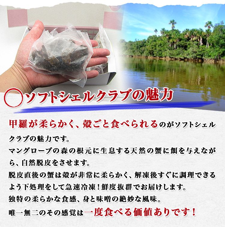 ☆ディシラ☆未使品含む☆10点セット ファンデ 洗顔 クリーム 手提げ