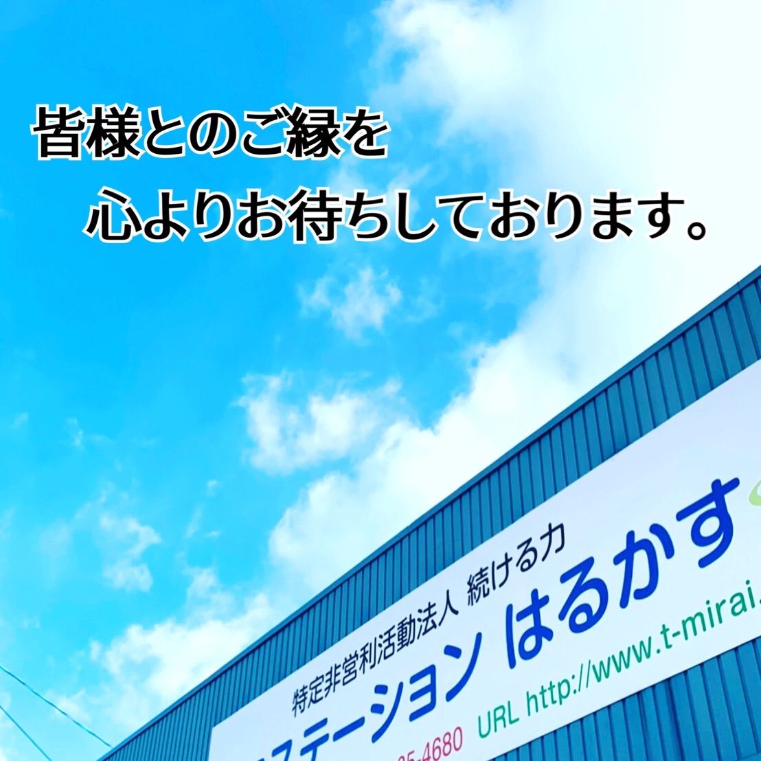 遠赤外線効果◾️備前玉 10個入り◾️美味しさワンランクアップ 