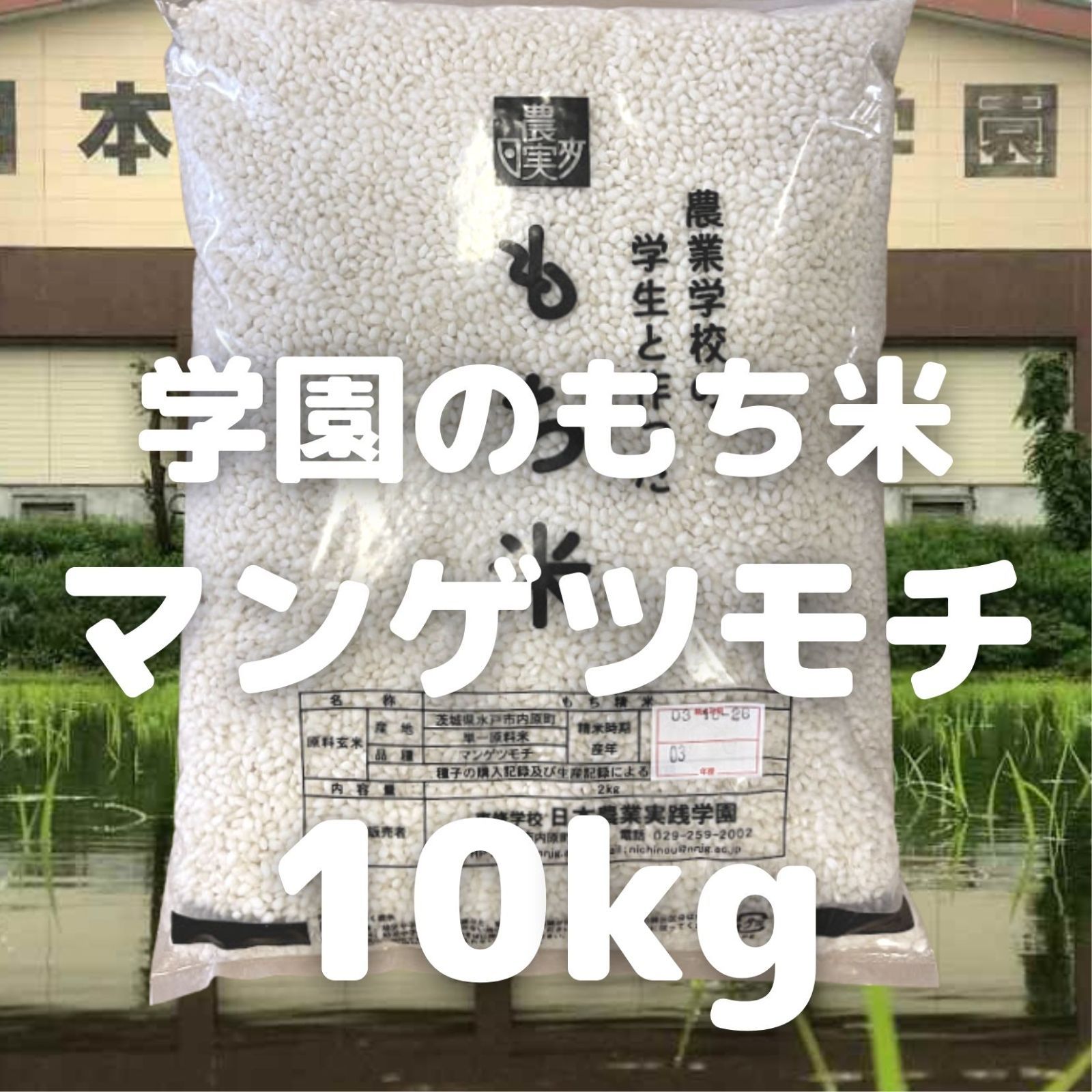 農業学校の学生と作ったもち米【マンゲツモチ】10kg（精米）【令和5年産】