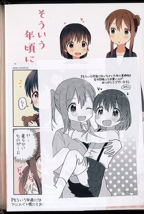 ☆絶版/特典2点付き [はちこ] そういう年頃になっちゃった年の差姉妹 