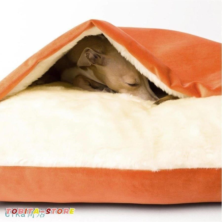 猫 介護