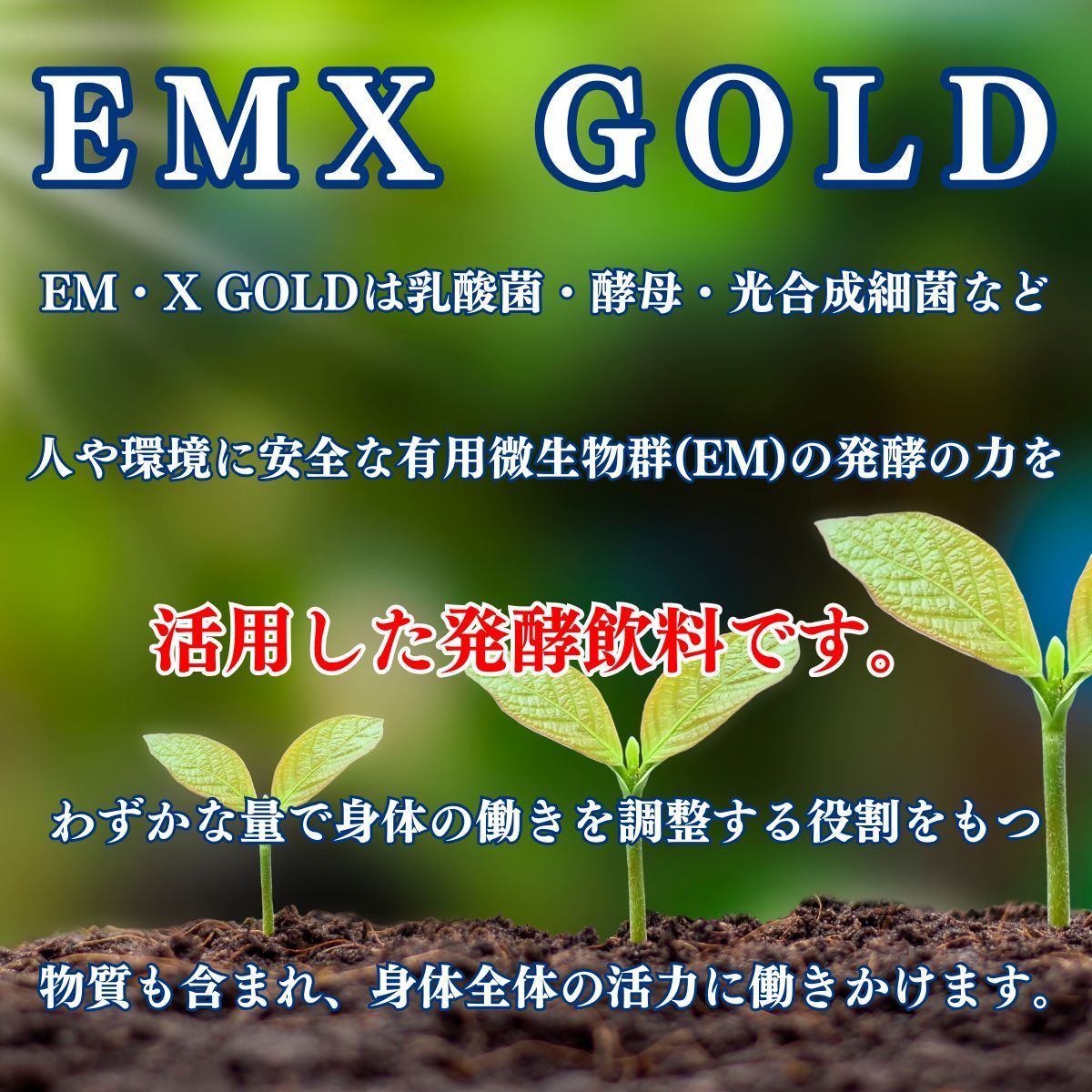 EMXゴールド イーエムエックスゴールド