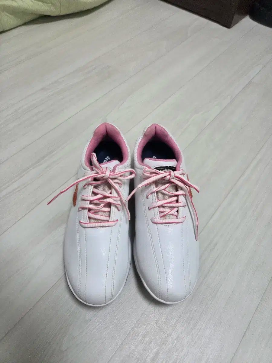 キャロウェイ] ゴルフシューズ CHEVNEON WM/レディース / C25986230  