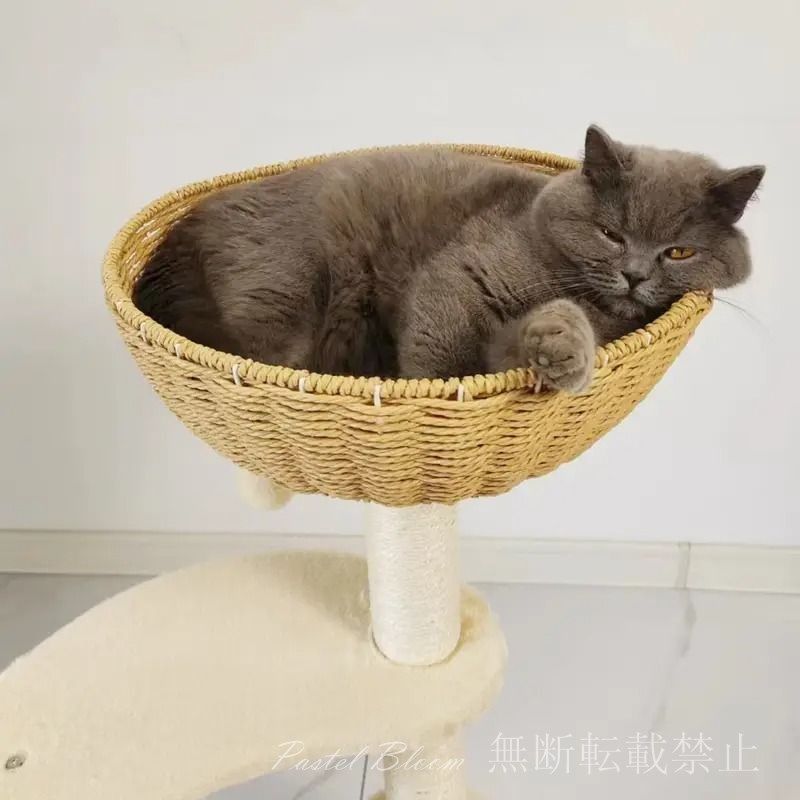 袖なし