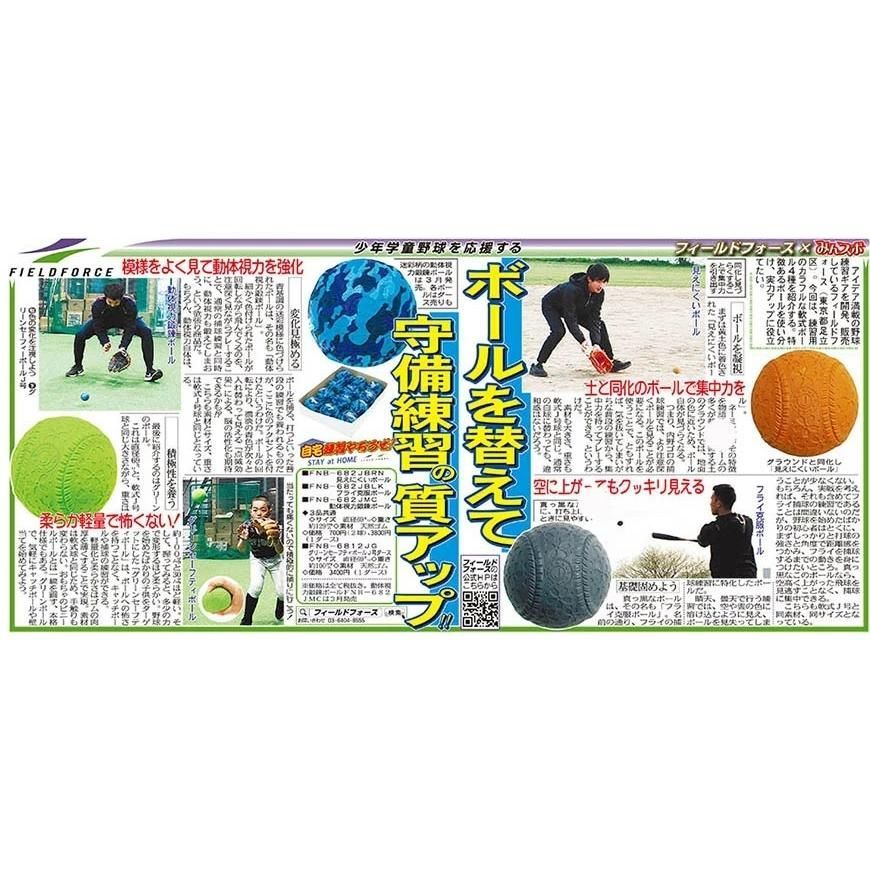 野球 動体視力鍛錬ボール FNB-6812JMC 軟式J号球サイズ 2ダース 迷彩柄 