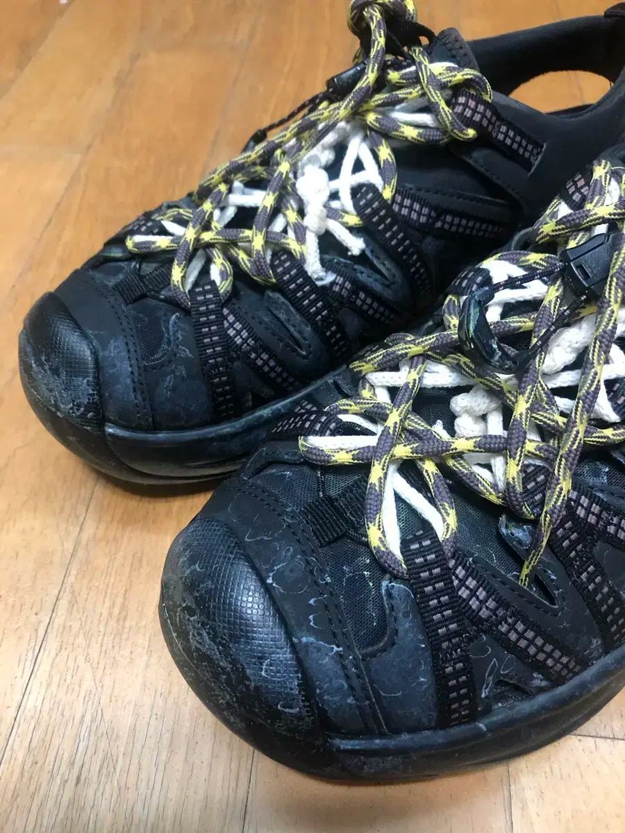 FACE ザノースフェイス