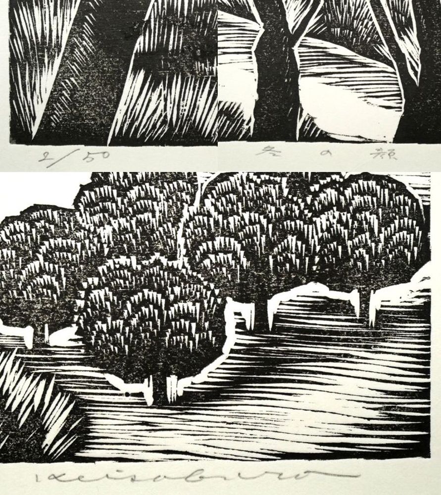 ニューヨークタイムズ紙選世界の絵本ベストテンに選出