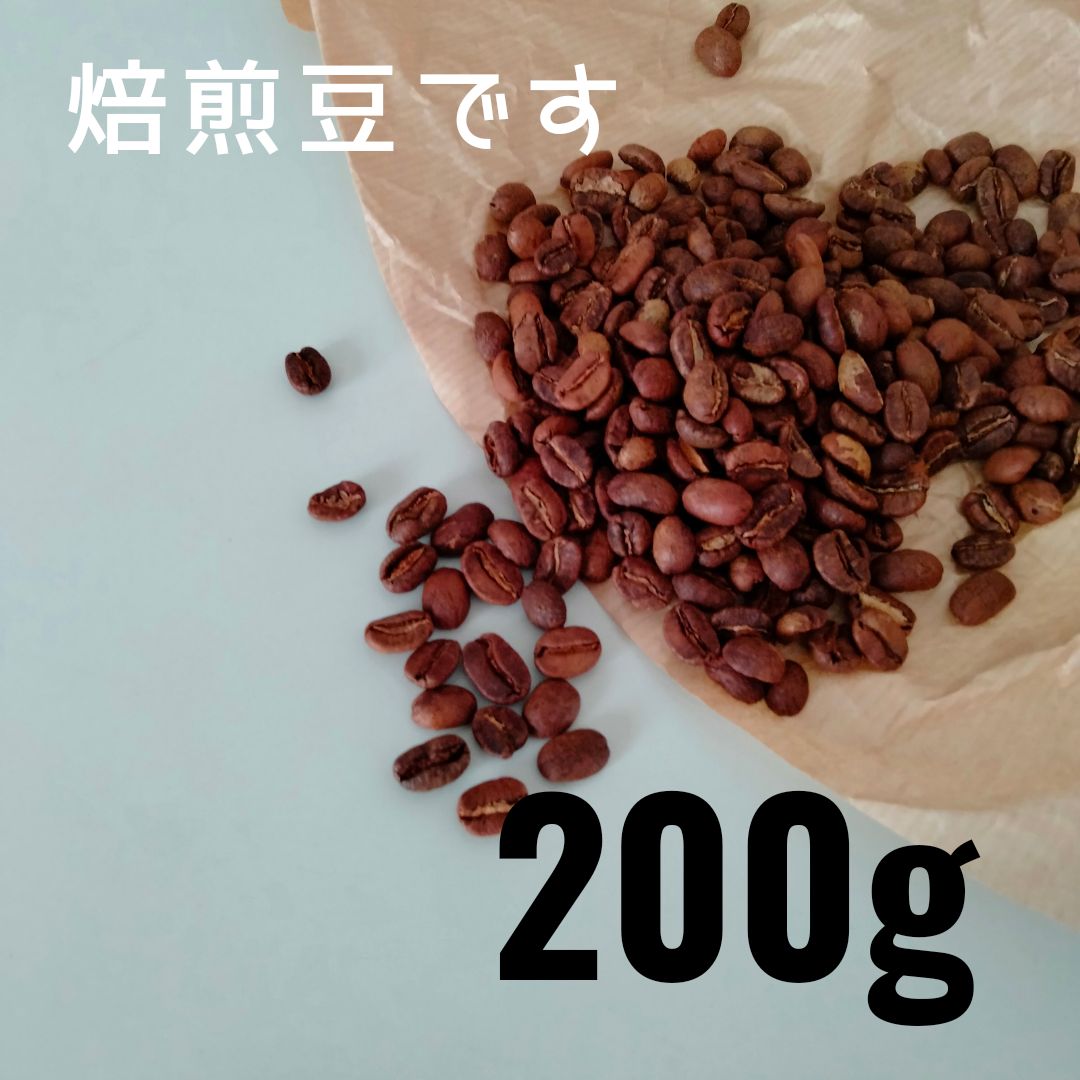 🇲🇽自家焙煎コーヒー豆 200g(100g✕2) 【栽培期間中・農薬不使用