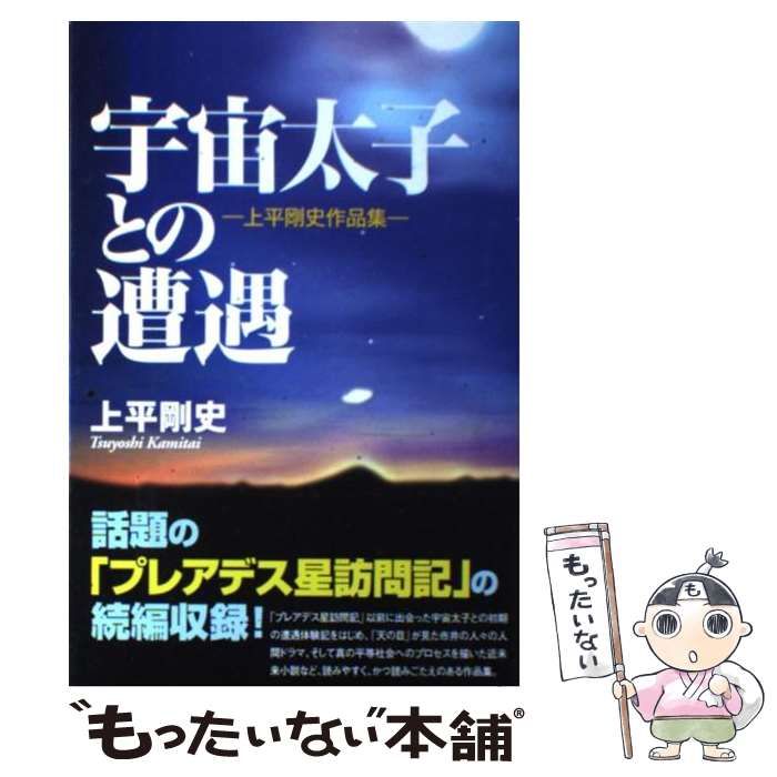 上平剛史 北の大地に宇宙太子が降りてきた - 本