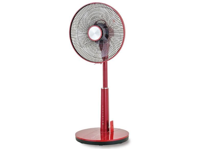 4営業日で発送 おおたけ GFDC325FRR DCフルリモコン式リビング扇風機 レッド GF-DC325FR-R DCモーター搭載 リモコン付き