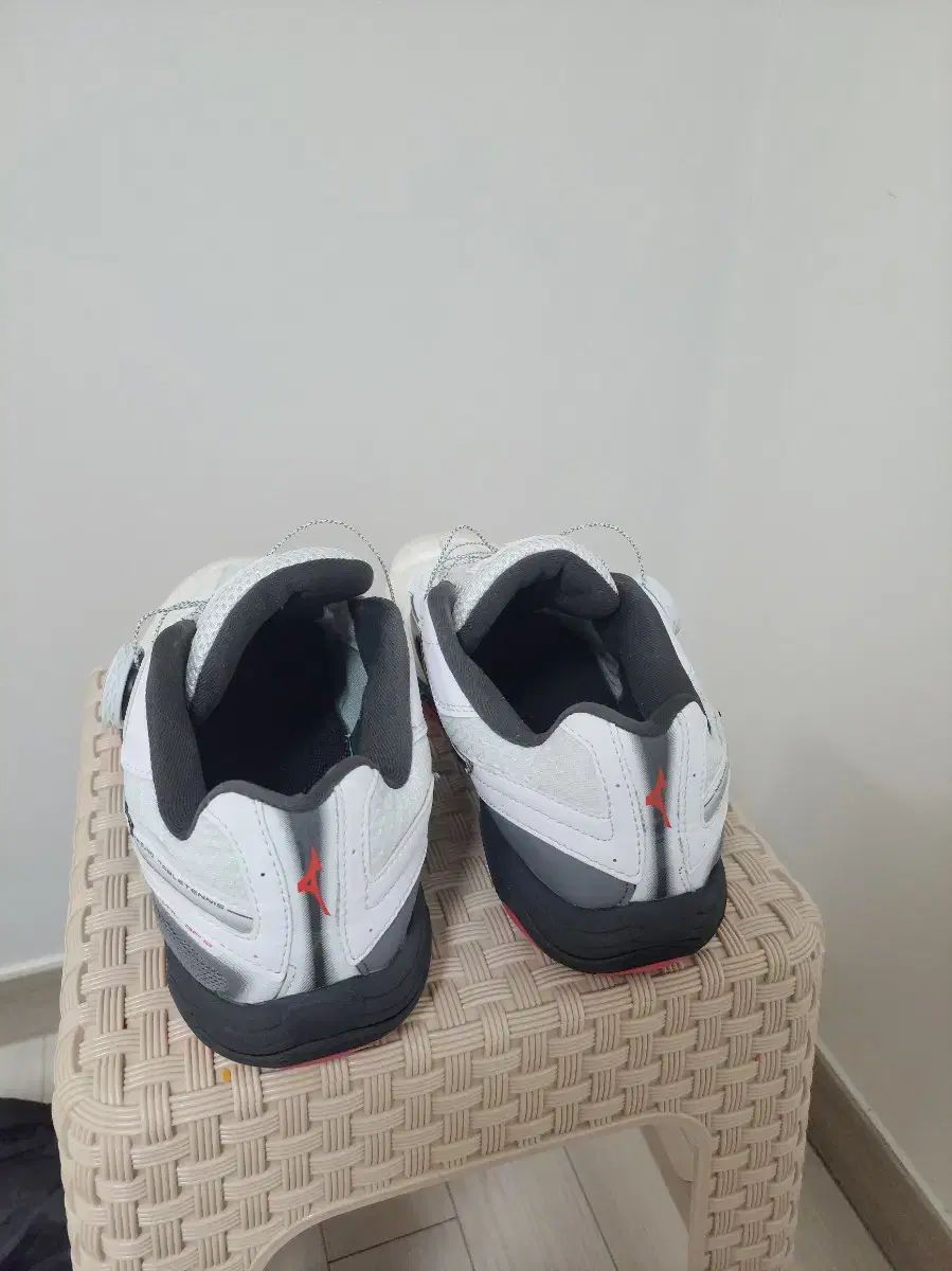 Mizuno