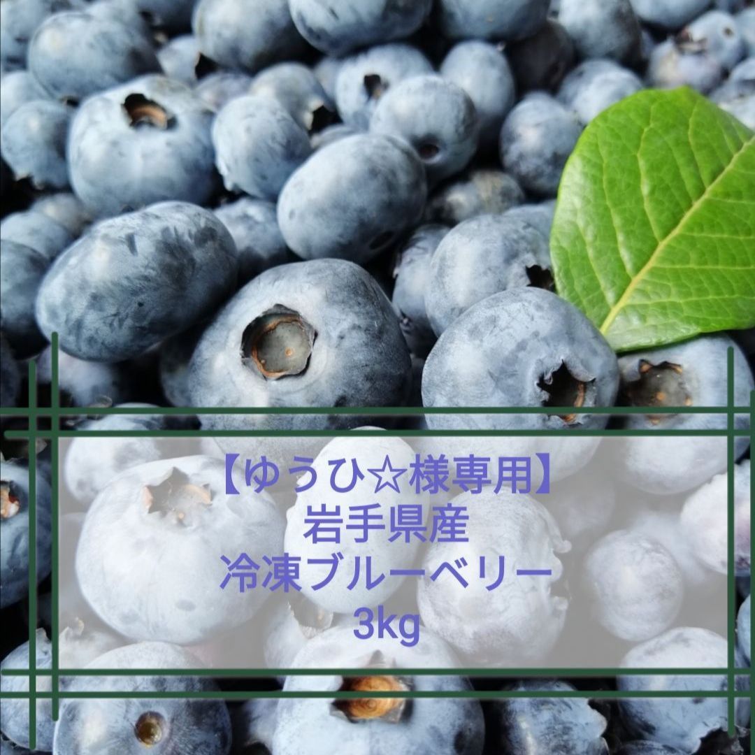 ☆完熟生ブルーベリー3kg☆ S11536411アウトレット セール 通販