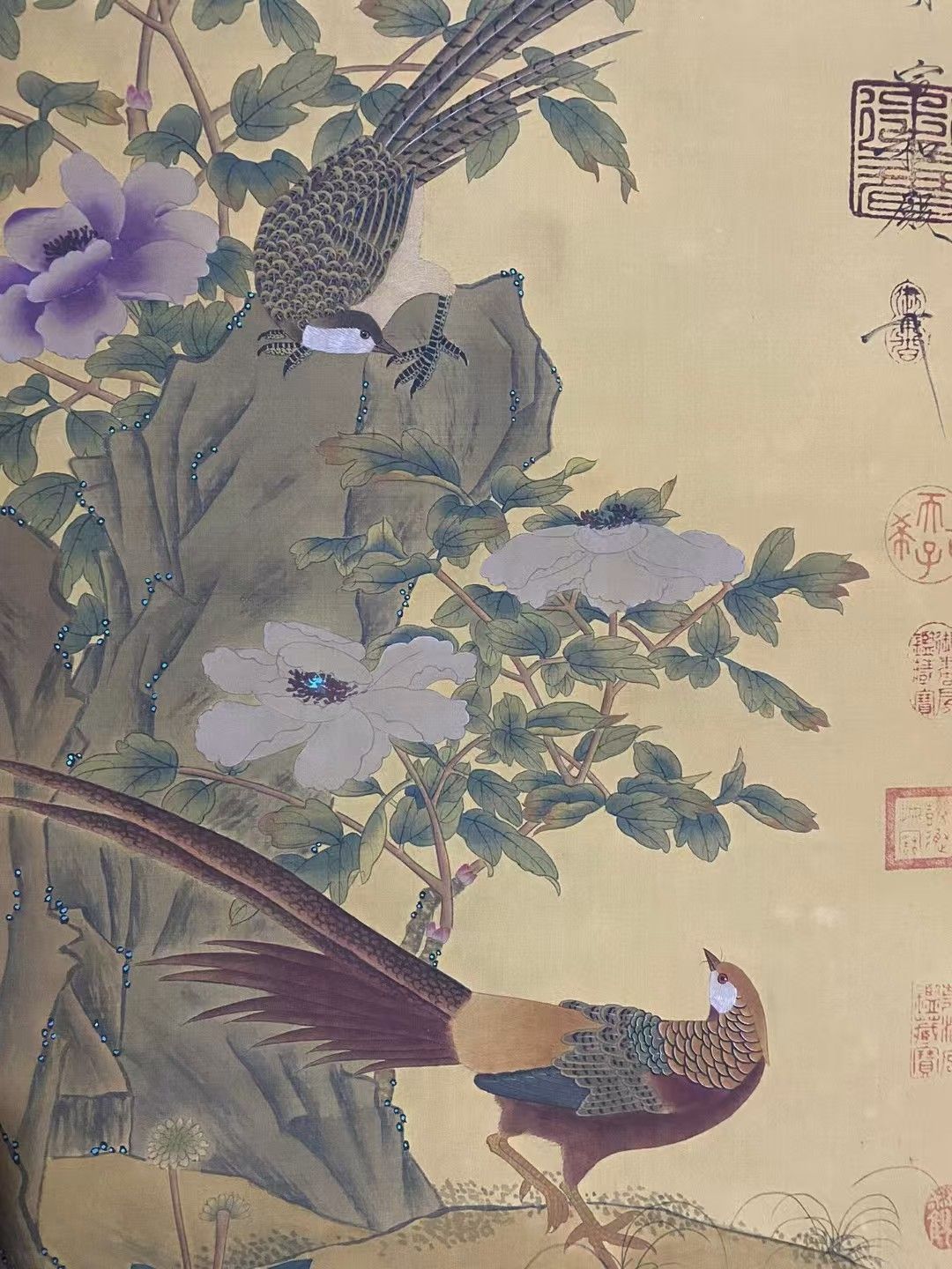 額 絵画 中国美術 骨董 花 鳥 七福神 中国古美術.精品三尺中堂画.宋徽宗花鳥画.手描きの作品.材質絹布