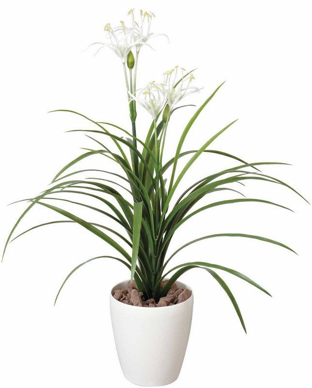 光触媒観葉植物 ユッカ花付〔フロアタイプ(ミドルサイズ)〕/光触媒 観葉植物 ウンベラータ フェイクグリーン 花 胡蝶蘭 開店祝い 開業祝い 誕生祝い 造花 アートフレーム おしゃれ 飾る 5Lサ