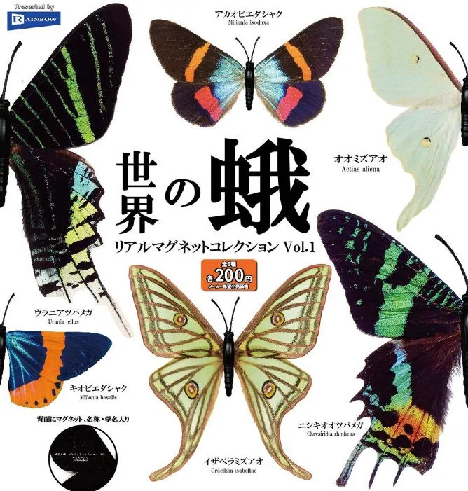 イザベラミズアオ　87mm ワッペン】Moth（蛾）シリーズ イザベラミズアオ ワッペン