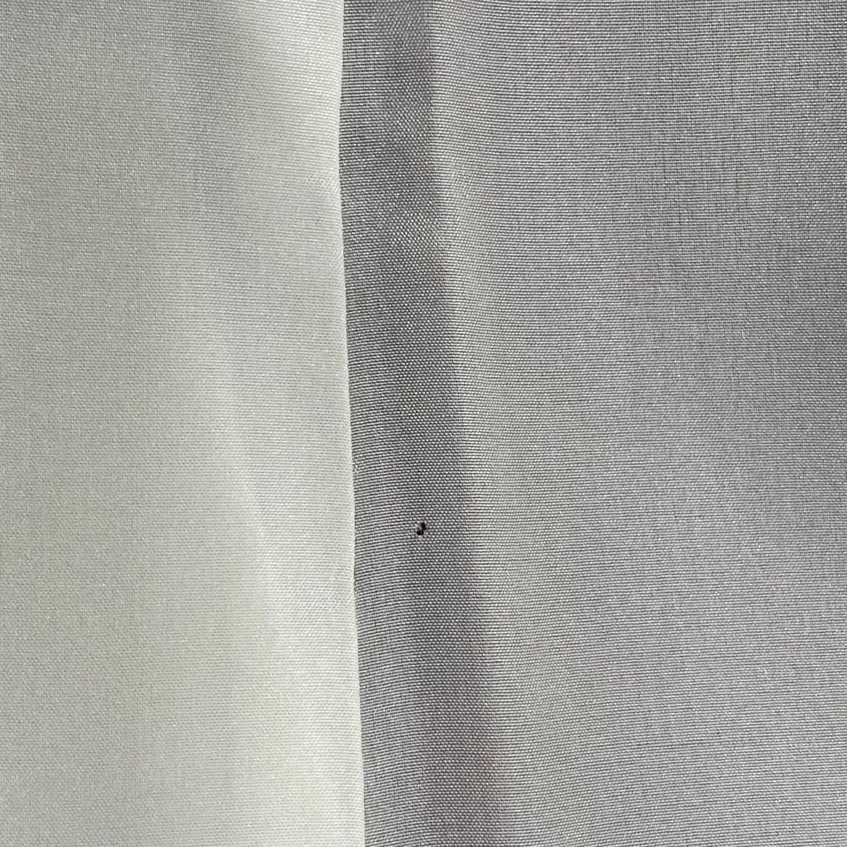 裄丈64cm