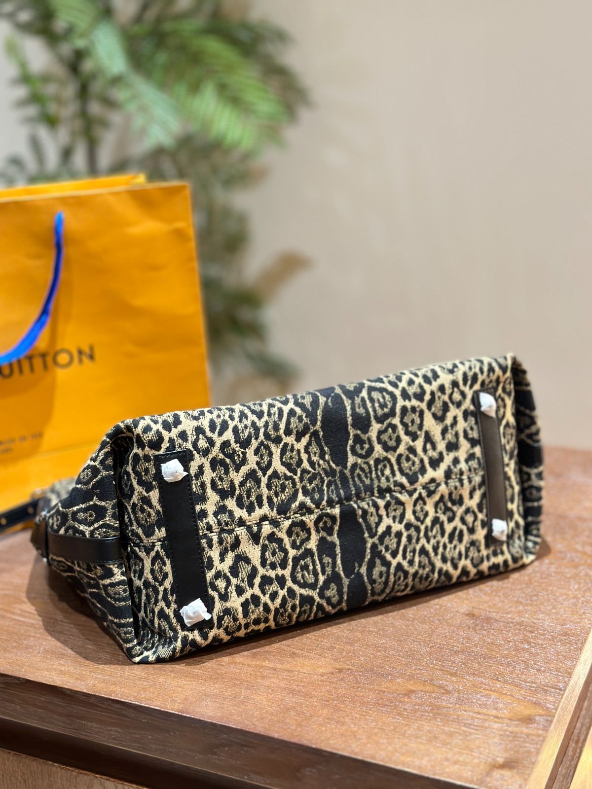 Leopard