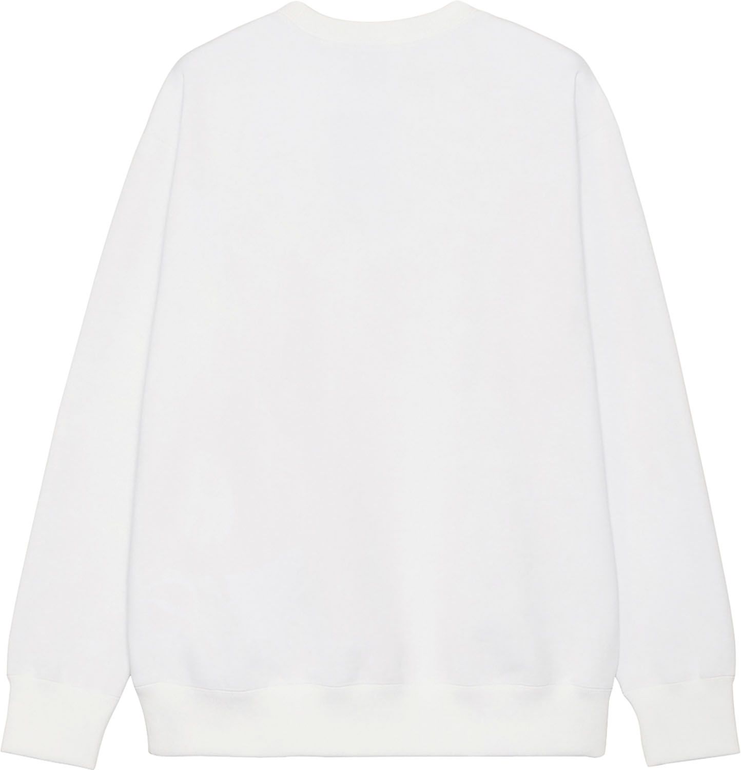 ザ ノース フェイス THE NORTH FACE アウトドア スモールロゴヘザースウェットクルー Small Logo Heather Sweat Crew トップス スウェット シャツ メンズ レディース キャンプ レジャー NT 623 W ホワイト