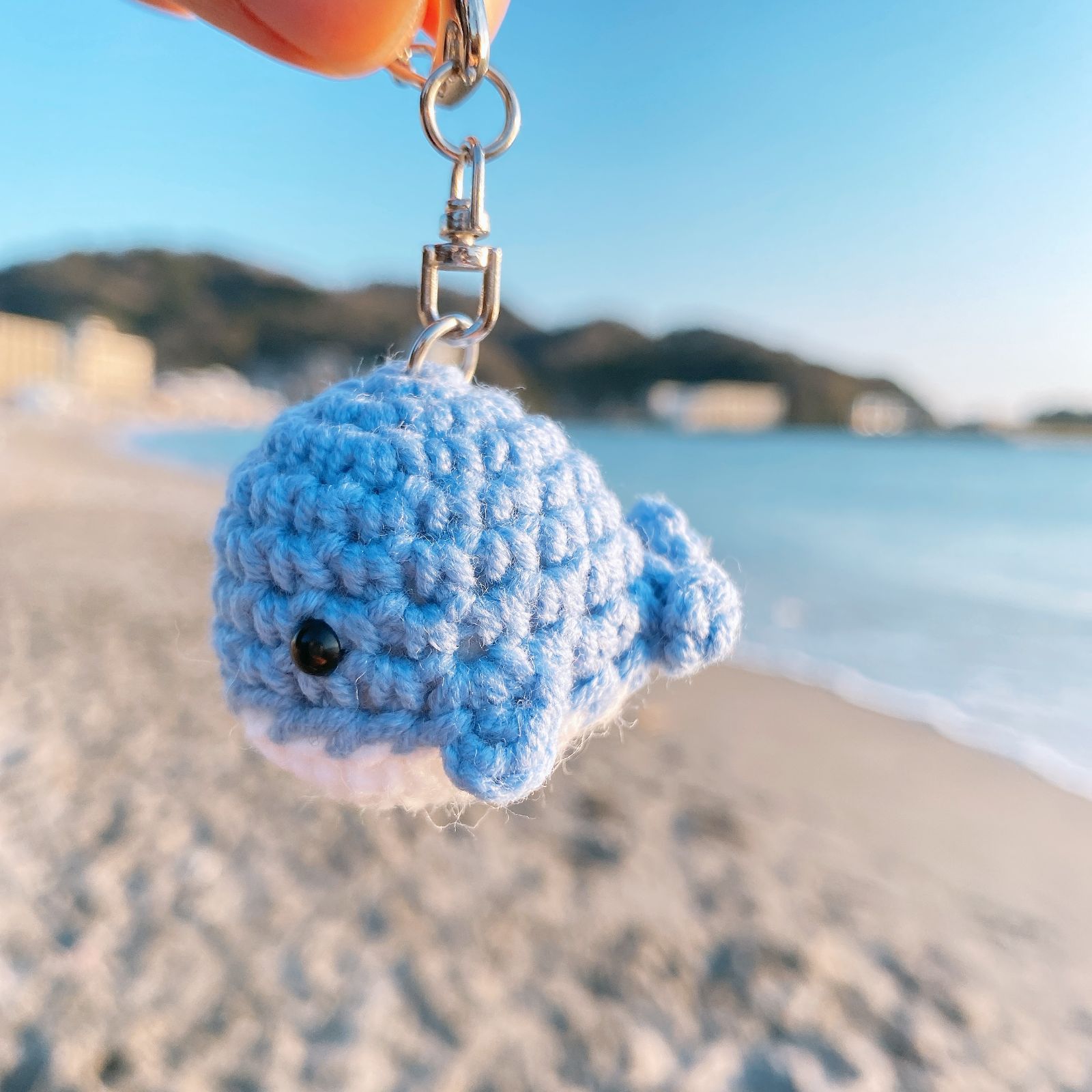 あさりあ様 クジラの編み物キーホルダー 2個セット 鯨ちゃん キーホルダー 小鯨 アクリル クジラ 編み物 - メルカリ