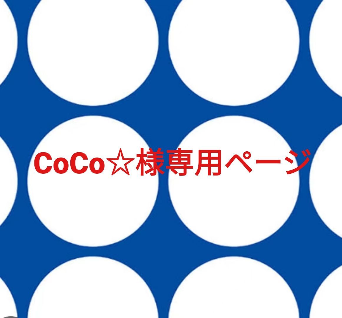 COCOさま専用ページ order2点 coco©️様専用ページ』 60個