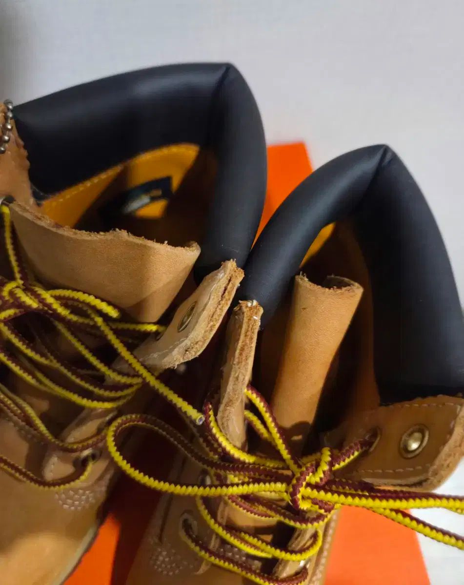 ティンバーランド 6