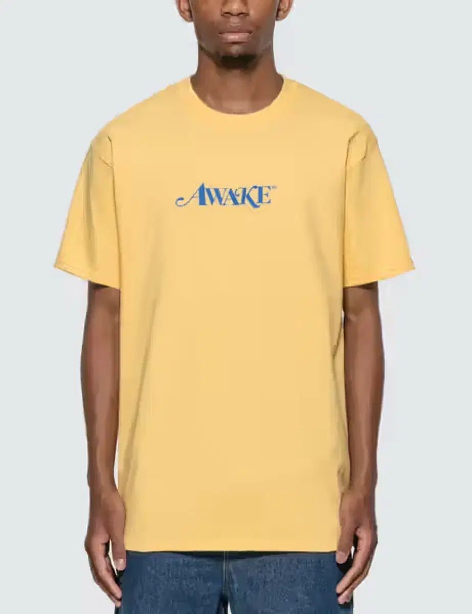 アウェイク ニューヨーク awake ny 半袖 Tシャツ L