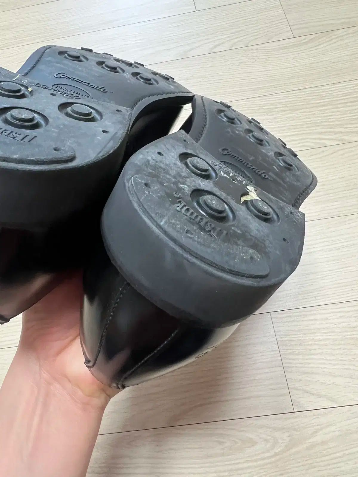 サンダース