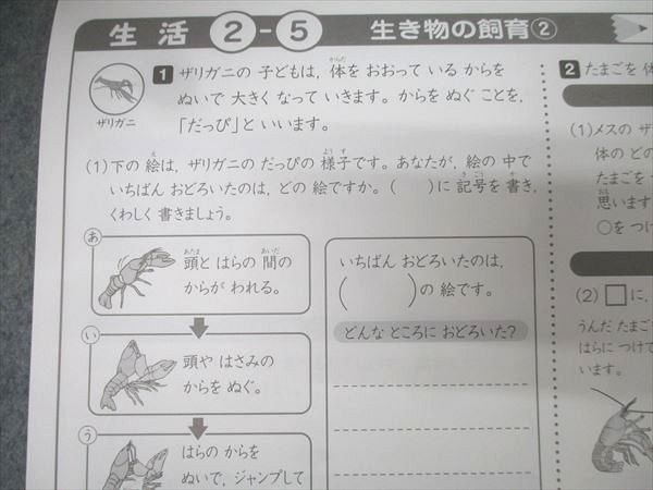 しちだ 七田式小学生プリント 生活 2年生 vol.2〜10 プリントセット 状態良 計9冊 046M2D しちだ 七田式小学生プリント 生活 2年生 vol.2～10 プリント